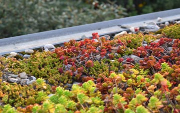 the cost of Darras Hall green roof installation